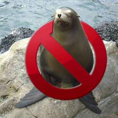No seals were used in the creation of this website
